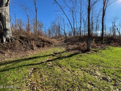 116 Acres with 1600 sq ft Cabin in Yazoo County - image 29