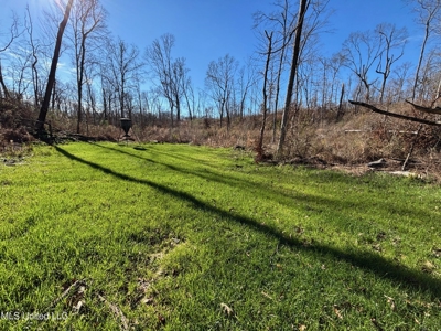 116 Acres with 1600 sq ft Cabin in Yazoo County - image 28