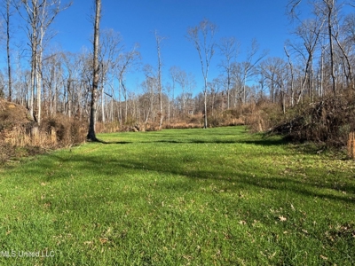 116 Acres with 1600 sq ft Cabin in Yazoo County - image 32