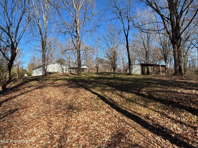 116 Acres with 1600 sq ft Cabin in Yazoo County - image 3