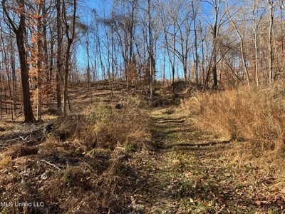 116 Acres with 1600 sq ft Cabin in Yazoo County - image 30