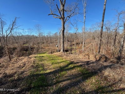116 Acres with 1600 sq ft Cabin in Yazoo County - image 35