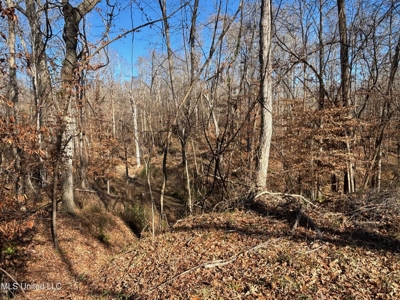 116 Acres with 1600 sq ft Cabin in Yazoo County - image 26