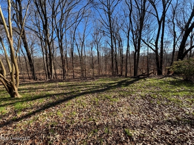 116 Acres with 1600 sq ft Cabin in Yazoo County - image 18