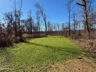 116 Acres with 1600 sq ft Cabin in Yazoo County - image 22