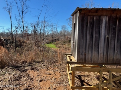 116 Acres with 1600 sq ft Cabin in Yazoo County - image 31