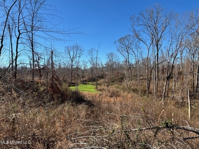 116 Acres with 1600 sq ft Cabin in Yazoo County - image 17