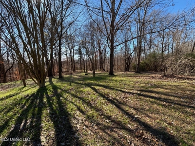 116 Acres with 1600 sq ft Cabin in Yazoo County - image 16