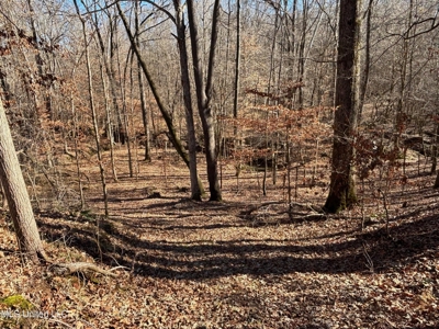 116 Acres with 1600 sq ft Cabin in Yazoo County - image 25