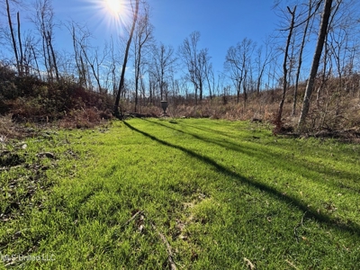 116 Acres with 1600 sq ft Cabin in Yazoo County - image 27
