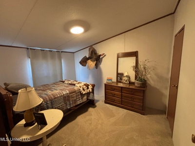 116 Acres with 1600 sq ft Cabin in Yazoo County - image 10