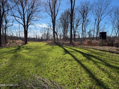 116 Acres with 1600 sq ft Cabin in Yazoo County - image 24