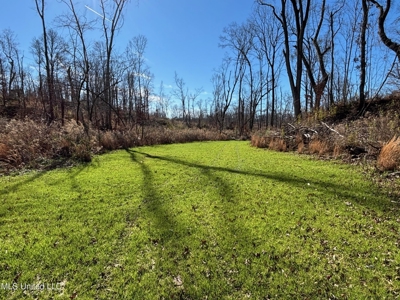 116 Acres with 1600 sq ft Cabin in Yazoo County - image 20