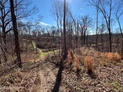 116 Acres with 1600 sq ft Cabin in Yazoo County - image 21