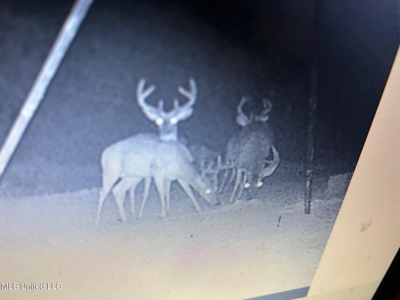 116 Acres with 1600 sq ft Cabin in Yazoo County - image 38