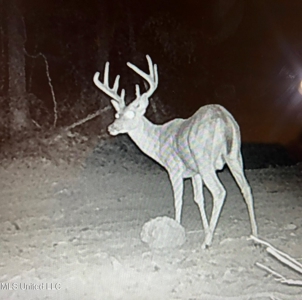 116 Acres with 1600 sq ft Cabin in Yazoo County - image 37