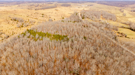 Land for sale in the Missouri Ozarks | Koshkonong - image 8