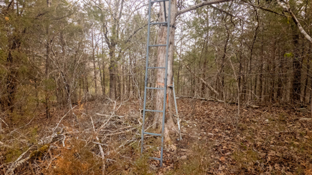 Land for sale in the Missouri Ozarks | Koshkonong - image 11