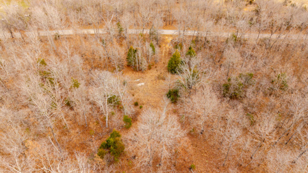 Land for sale in the Missouri Ozarks | Koshkonong - image 6