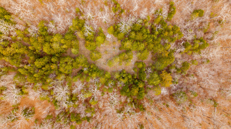 Land for sale in the Missouri Ozarks | Koshkonong - image 9