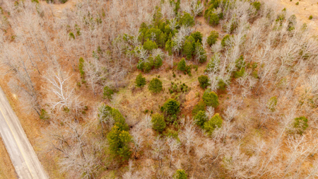 Land for sale in the Missouri Ozarks | Koshkonong - image 5