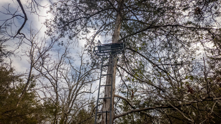 Land for sale in the Missouri Ozarks | Koshkonong - image 10