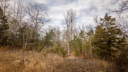 Land for sale in the Missouri Ozarks | Koshkonong - image 14