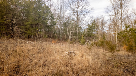 Land for sale in the Missouri Ozarks | Koshkonong - image 12