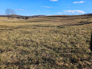 Listing 75