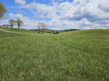 Listing 75