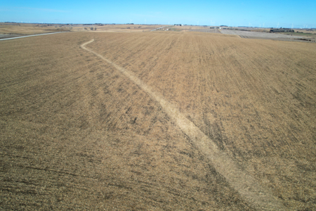 Adams County Iowa Farmland Auction - image 11