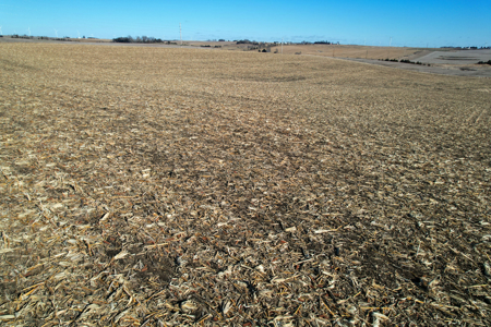 Adams County Iowa Farmland Auction - image 23