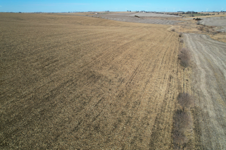 Adams County Iowa Farmland Auction - image 9