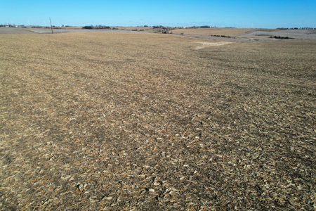 Adams County Iowa Farmland Auction - image 29