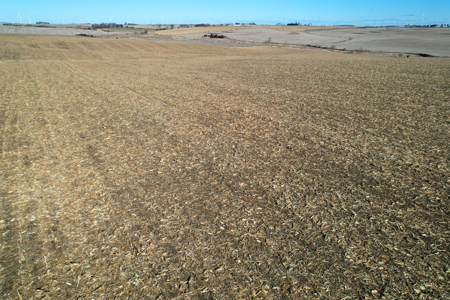 Adams County Iowa Farmland Auction - image 26