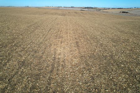 Adams County Iowa Farmland Auction - image 3
