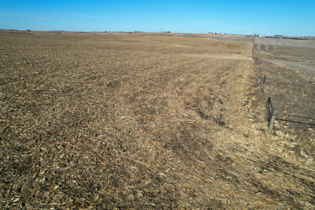 Adams County Iowa Farmland Auction - image 6
