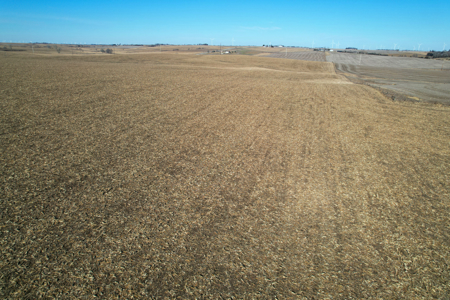 Adams County Iowa Farmland Auction - image 14