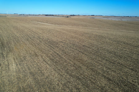 Adams County Iowa Farmland Auction - image 7