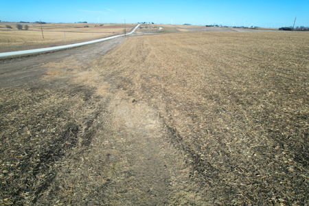 Adams County Iowa Farmland Auction - image 5