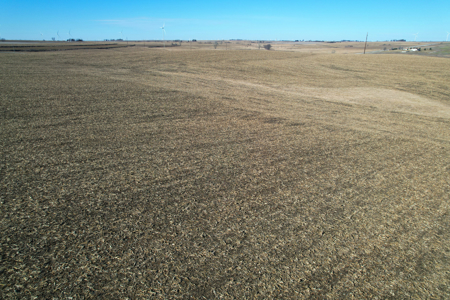 Adams County Iowa Farmland Auction - image 13