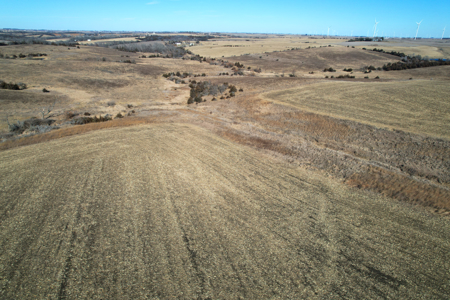 Adams County Iowa Farmland Auction - image 17