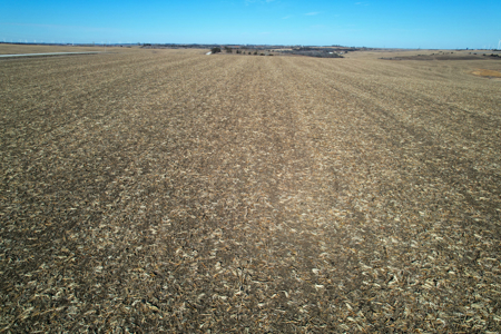 Adams County Iowa Farmland Auction - image 24