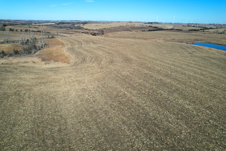 Adams County Iowa Farmland Auction - image 23