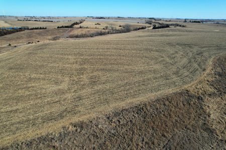 Adams County Iowa Farmland Auction - image 25
