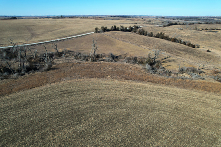 Adams County Iowa Farmland Auction - image 13