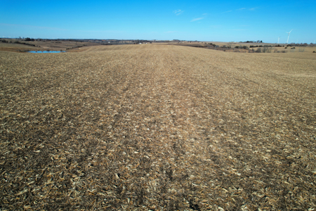 Adams County Iowa Farmland Auction - image 29