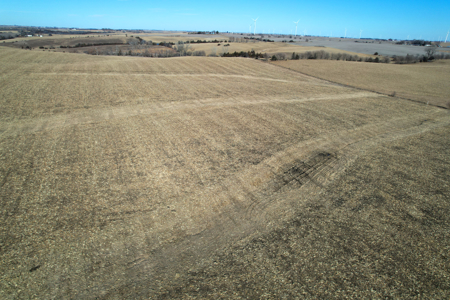 Adams County Iowa Farmland Auction - image 7