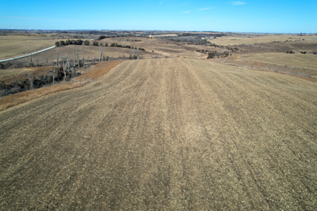 Adams County Iowa Farmland Auction - image 26