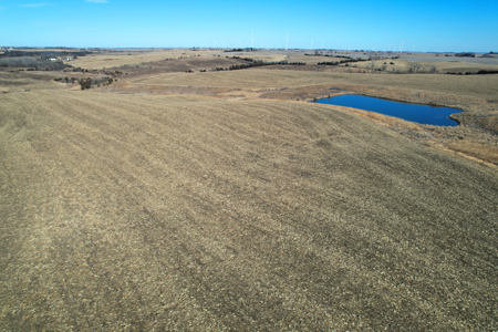 Adams County Iowa Farmland Auction - image 4